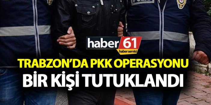 Trabzon'da PKK operasyonu - Bir kişi tutuklandı