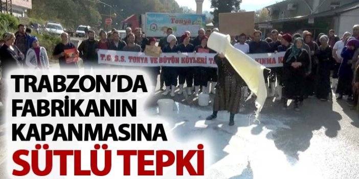 Trabzon'da fabrikanın kapanmasına sütlü tepki
