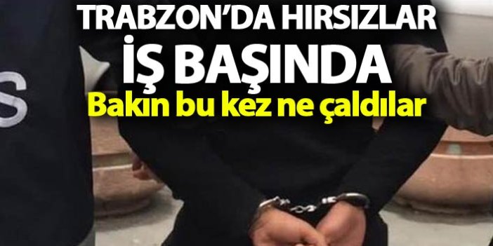 Trabzon'da hırsızlar iş başında - Bakın bu kez ne çaldılar