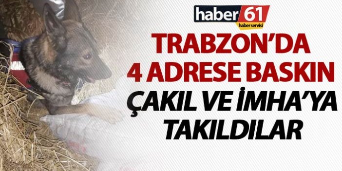 Trabzon’da 4 adrese baskın - Çakıl ve İmha’ya takıldılar
