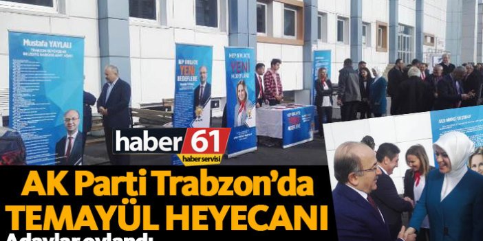 AK Parti Trabzon'da temayül yapıldı