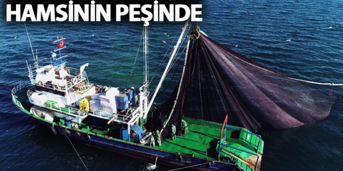 Doğu Karadenizli balıkçılar hamsiyi Batı Karadeniz’de arıyor