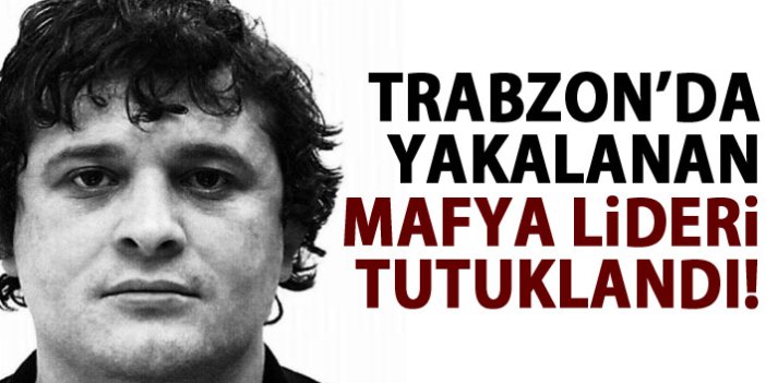 Trabzon'da yakalanan Gürcü mafya lideri tutuklandı
