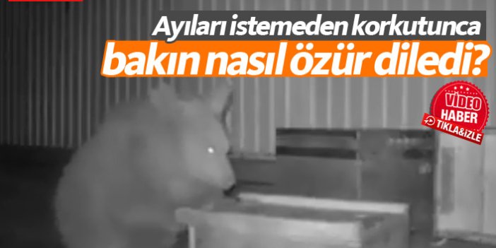 Trabzon'da istemeden korkuttuğu ayılara ikramda bulundu