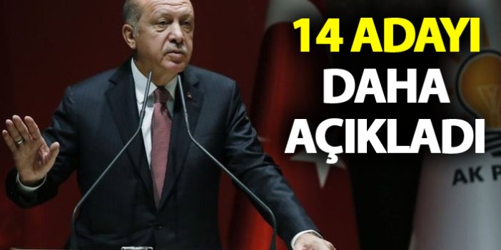Cumhurbaşkanı Erdoğan 14 adayı daha açıkladı