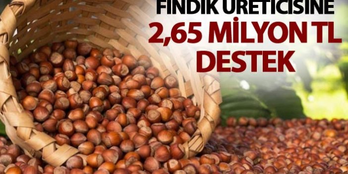 Fındık üreticisine 2,65 milyon lira destek