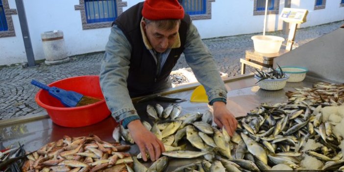  Balıkçılar uyardı: Hamsi fiyatı yükselişe geçebilir 