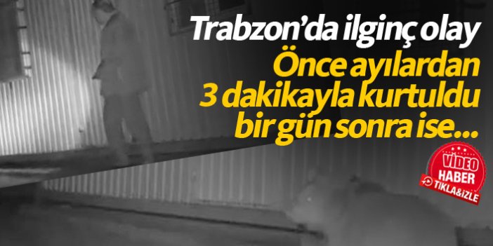 Trabzon'da önce ayılardan 3 dakika ile kurtuldu, bir gün sonra karşılaştı