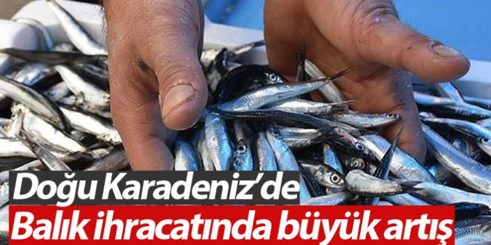 Doğu Karadeniz'de balık ihracatı arttı