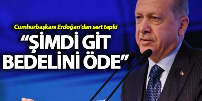 Cumhurbaşkanı Erdoğan'dan sert tepki: "Şimdi git bunun bedelini öde"