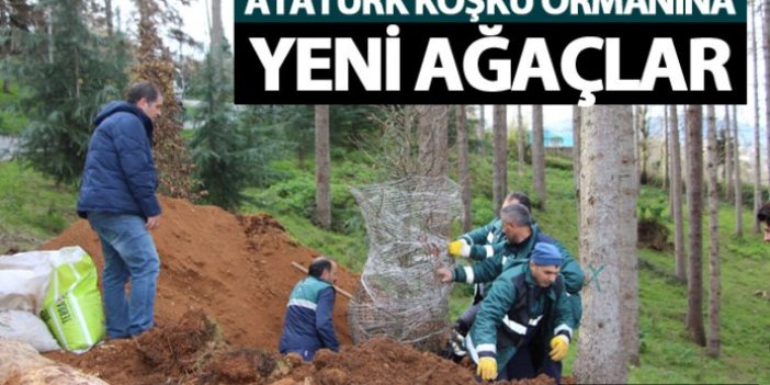 Atatürk Köşkü ormanına yeni ağaçlar