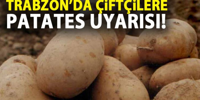 Trabzon'da çiftçilere patates uyarısı