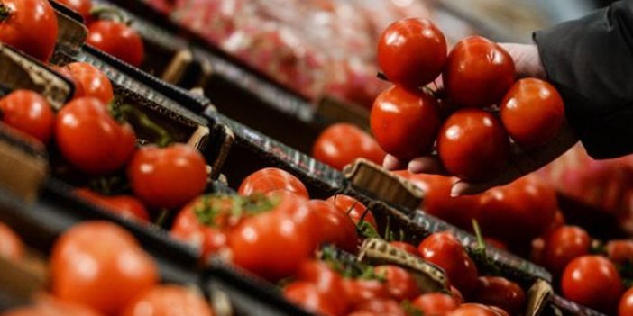 Rusya, Türkiye’den daha fazla domates almak istiyor