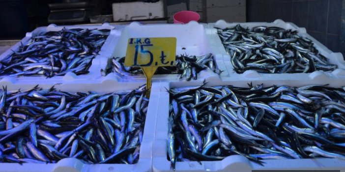 Trabzon'da balık fiyatları sürekli değişiyor
