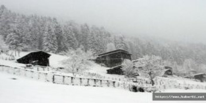 Gümüşhane'de kar 99 köy yolunu kapattı
