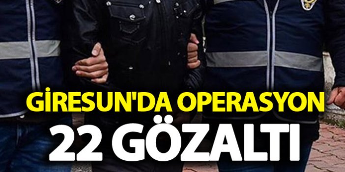 Giresun'da operasyon - 22 gözaltı