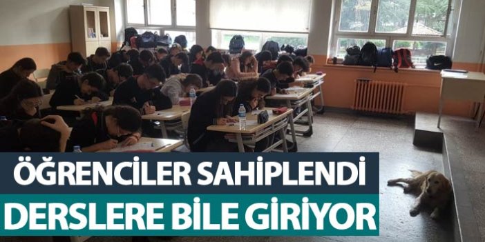 Trabzon'da derslere giren 'Şila' okulun maskotu oldu