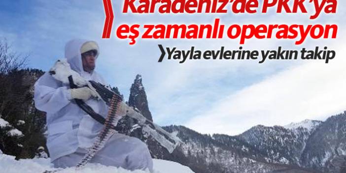 Karadeniz'de PKK'ya eş zamanlı operasyon