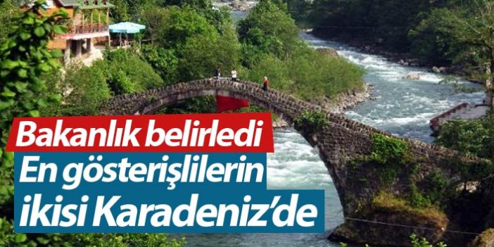 Türkiye'nin 13 gösterişli köprüsünden ikisi Karadeniz'de