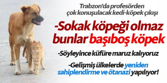 Trabzon'dan dikkat çeken çıkış; Sokakta köpek olmaz, bunlar başıboş köpek
