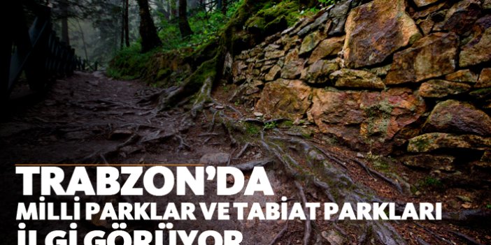 Trabzon'da milli parklar ve tabiat parkları ilgi görüyor
