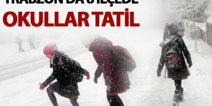Trabzon'da 8 ilçede okullar tatil