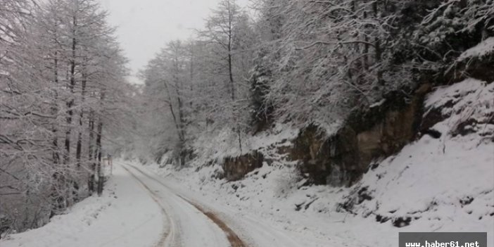 Giresun'da kar yolları kapattı