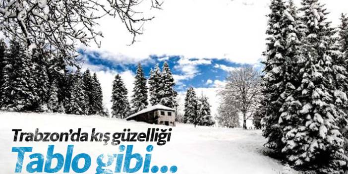 Trabzon'da kış güzelliği