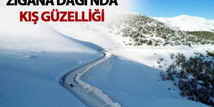 Tarihi İpek Yolu'ndaki Zigana Dağı'nda kış güzelliği