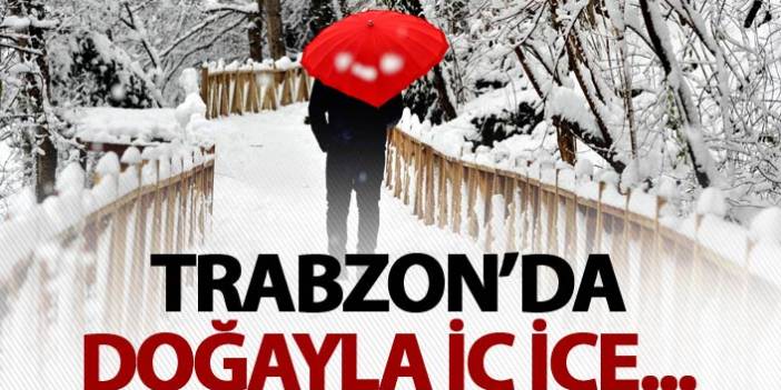 Trabzon'da doğayla iç içe yürüyüş parkuru açıldı
