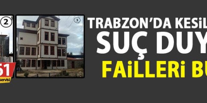 Trabzon’da kesilen ağaçlar için suç duyurusunda bulundu