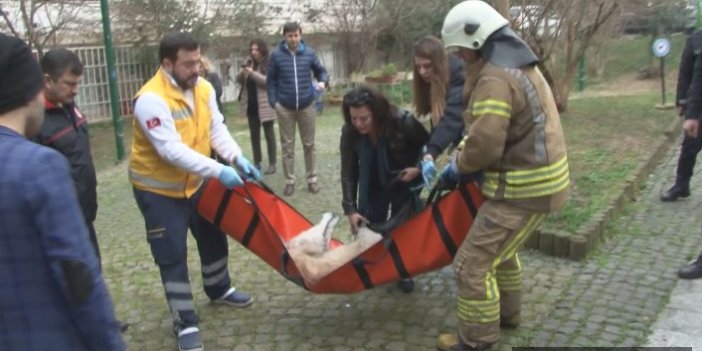 Dumandan etkilenen köpek ambulansta hayata döndü