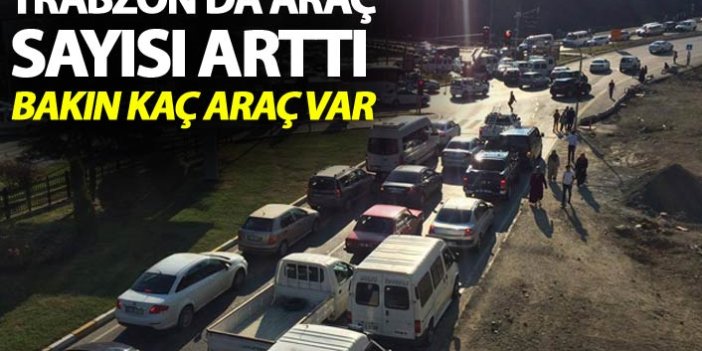 Trabzon'da araç sayısı arttı - Bakın kaç araç var