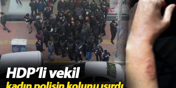 HDP'li vekil polisin kolunu ısırdı!
