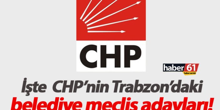 CHP belediye meclis adayları belli oldu