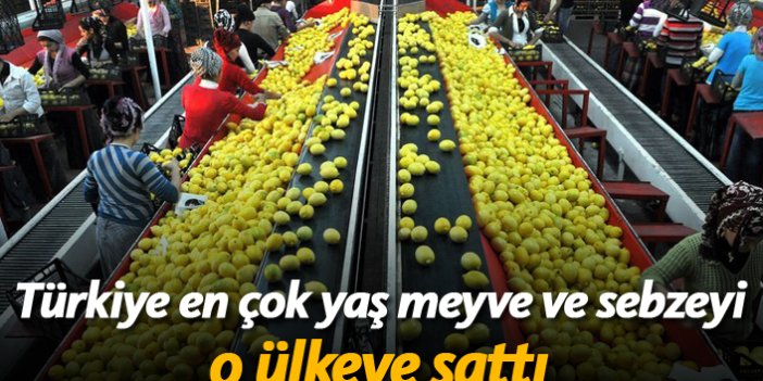 Türkiye en çok yaş meyve ve sebzeyi o ülkeye sattı