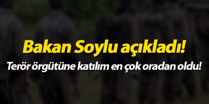 Bakan Soylu açıkladı! PKK'ya katılım en çok oradan oldu!