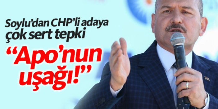 Süleyman Soylu'dan CHP'li adaya çok sert sözler: Apo'nun uşağı