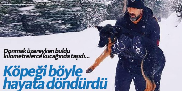 Trabzon'da donmak üzere bulduğu köpeği kilometrelerce taşıyıp kurtardı