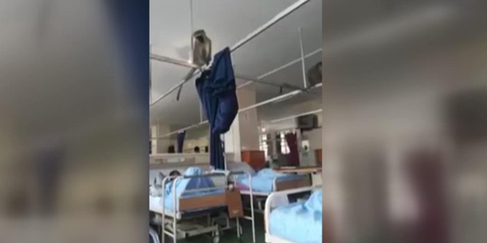 Afrika'da hastaneyi maymunlar bastı