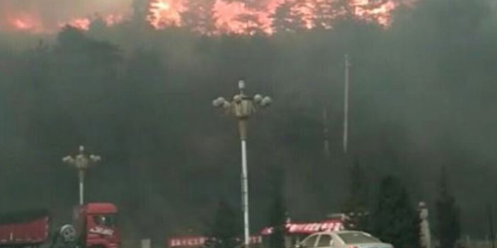 Çin’deki orman yangınında büyük acı!