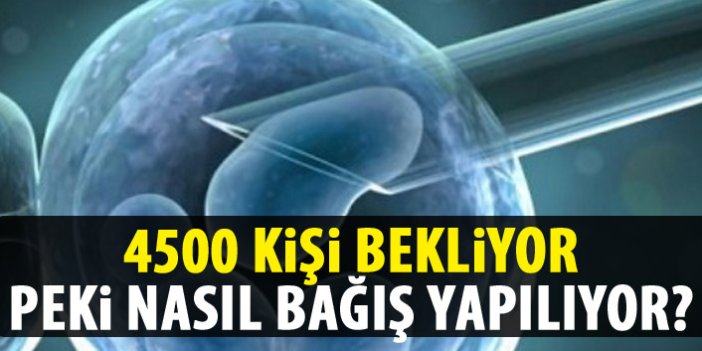Türkiye’de 4 bin 500 hasta kök hücre nakli bekliyor 