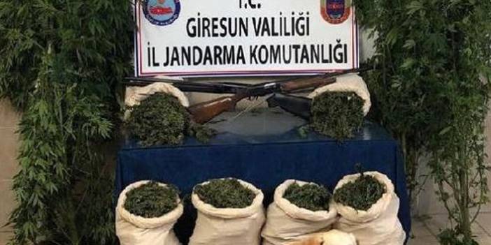 Giresun'da uyuşturucu operasyonları. 18 Nisan 2019