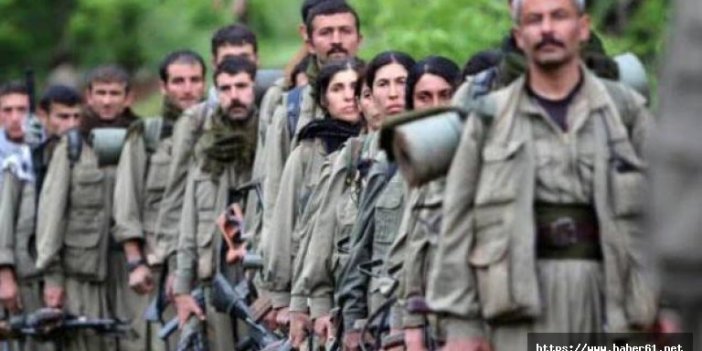 PKK paniğe kapılıp köşeye sıkıştı!