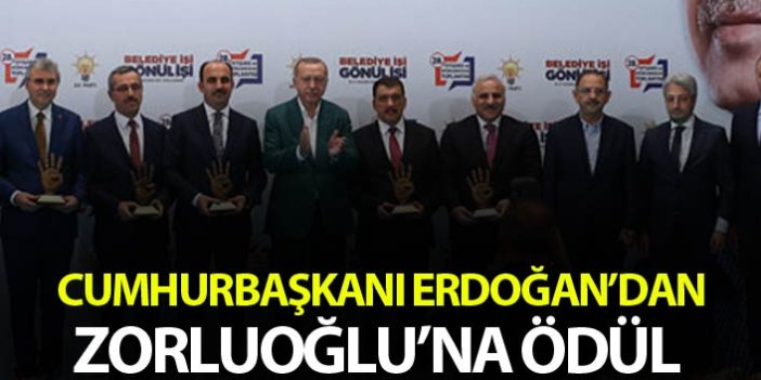 Cumhurbaşkanı Erdoğan Zorluoğlu'na ödül verdi