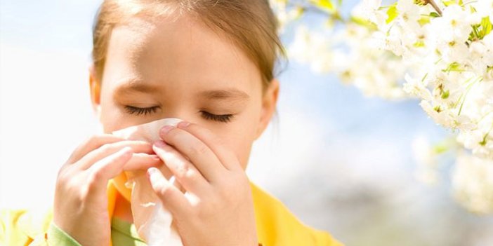 Bahar alerjisi eğitimde aksamalara neden oluyor