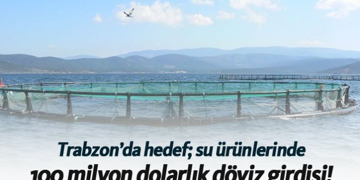 Trabzon'da hedef su ürünlerinde 100 milyon dolarlık döviz girdisi!