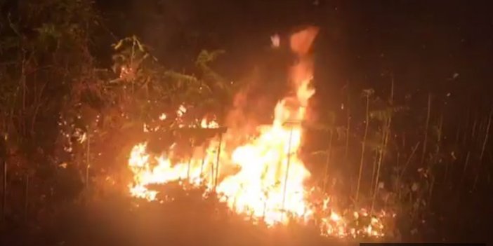 Rize'deki Orman yangını güçlükle söndürüldü