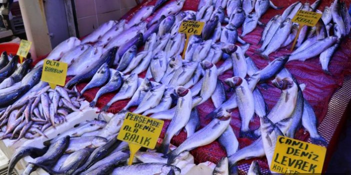 Balık fiyatları Ramazan’da düştü