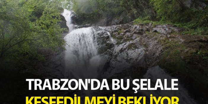 Trabzon'da bu şelale keşfedilmeyi bekliyor